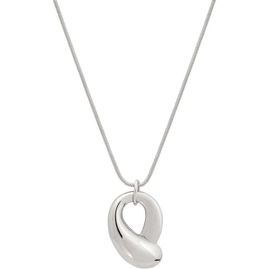 Paisley Necklace Steel