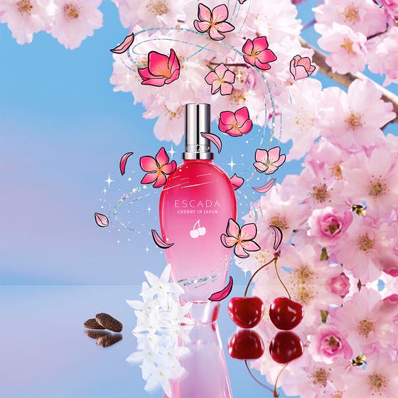 Cherry In Japan