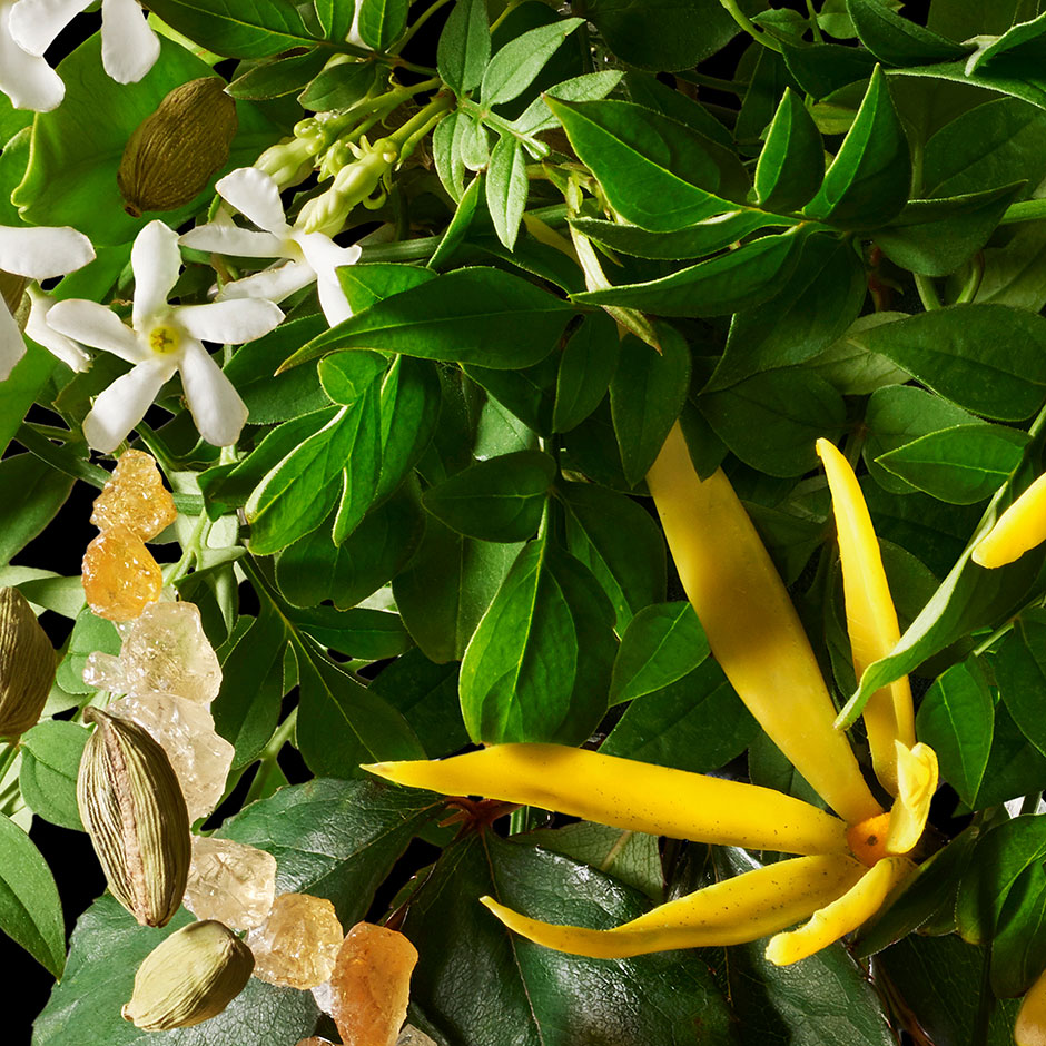 Relaxing Ylang-Ylang Body Lotion