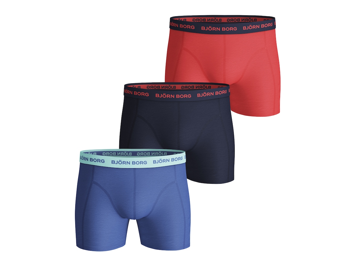 Essential Seasonal Sammy Boxer