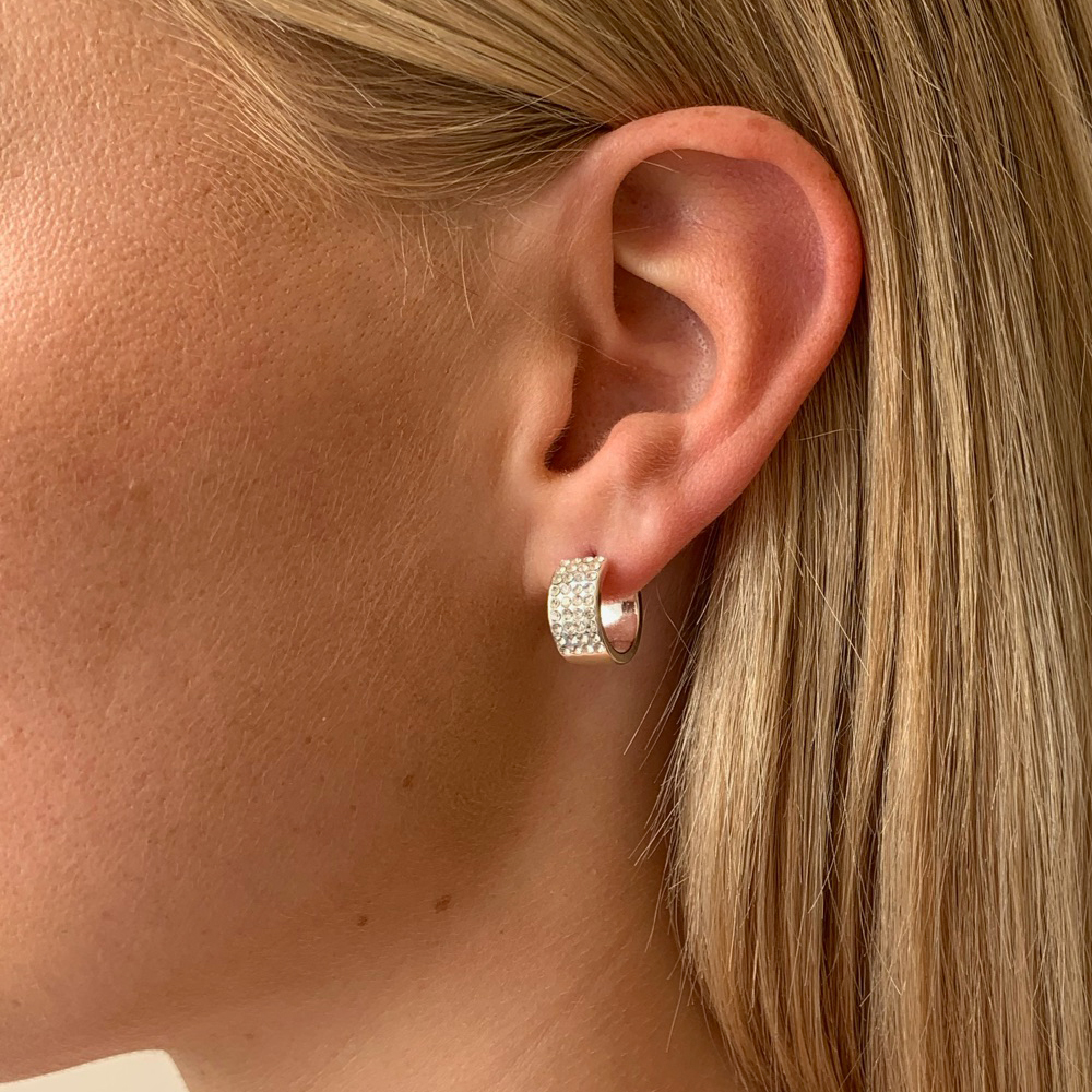 Carrie Small Ring Ear Silver/Clear