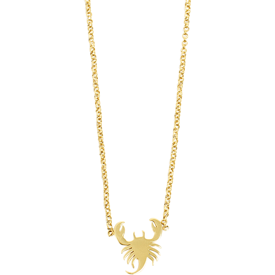 Zodiac Steel Gold Necklace