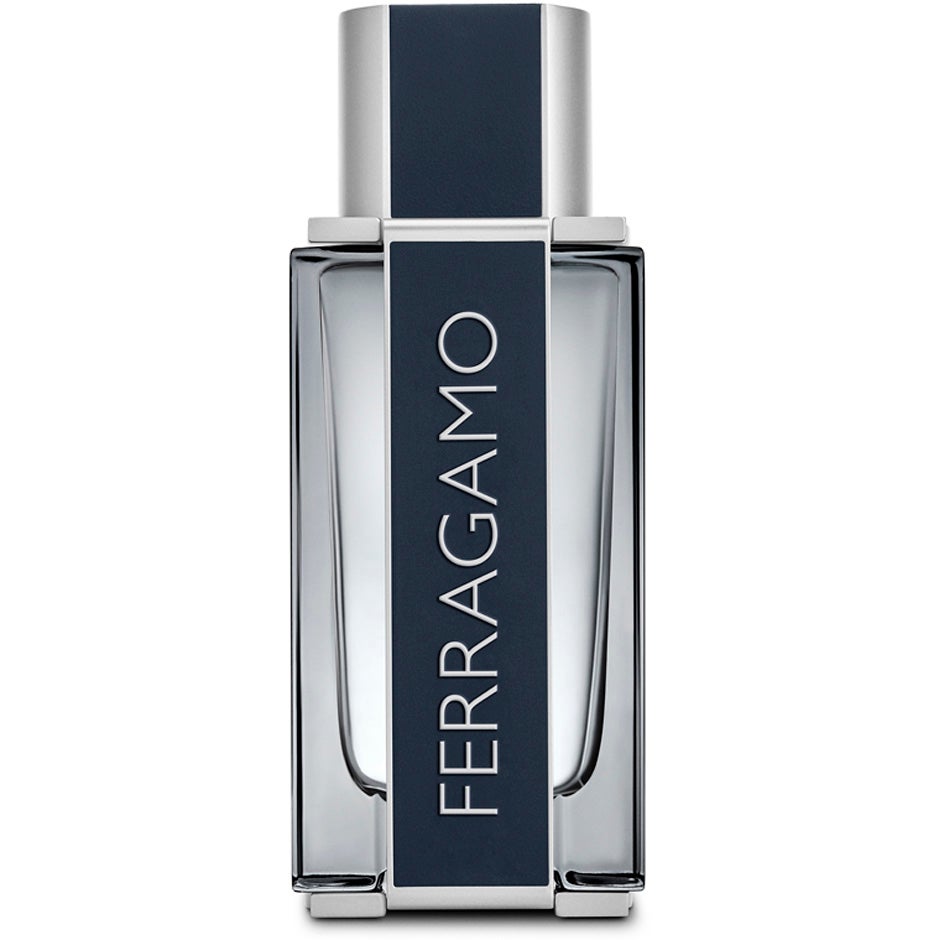 Ferragamo Ferragamo Men Eau de Toilette 30 ml