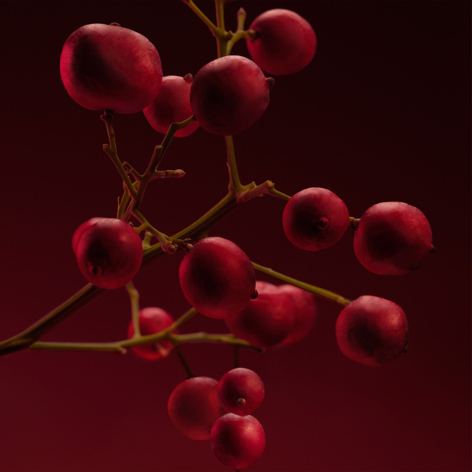 The Scent For Her Elixir