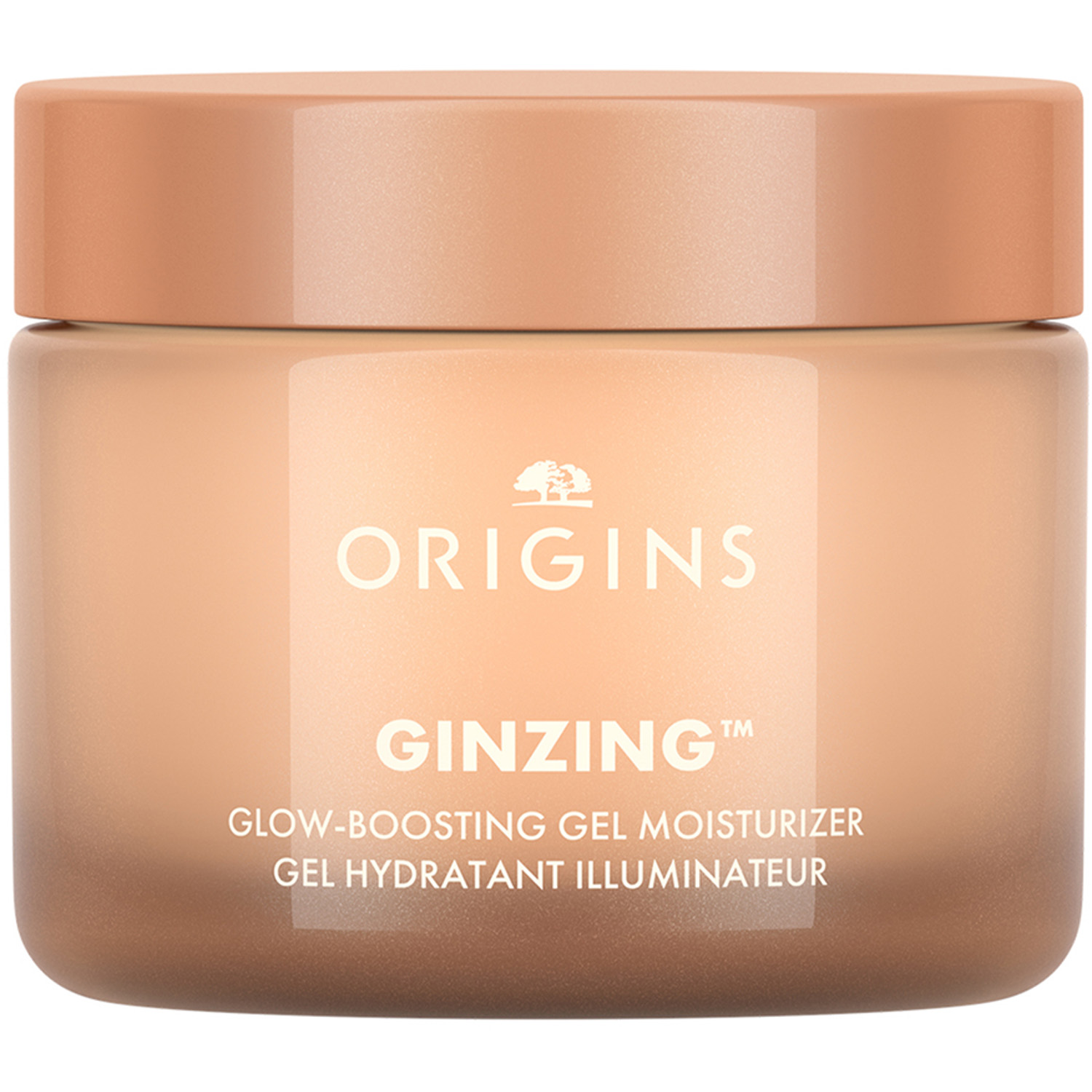 GinZing Glow-Boosting Gel Moisturizer