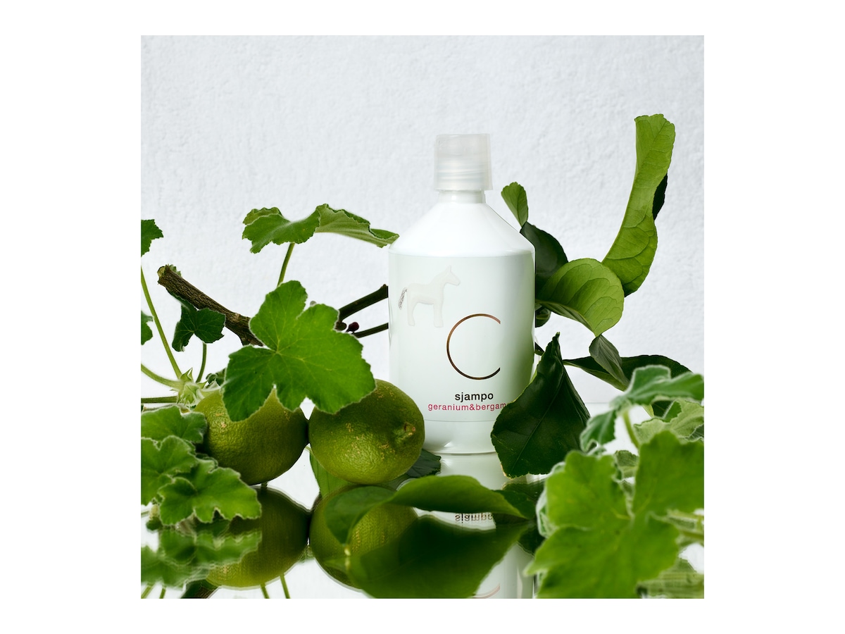 Shampoo 