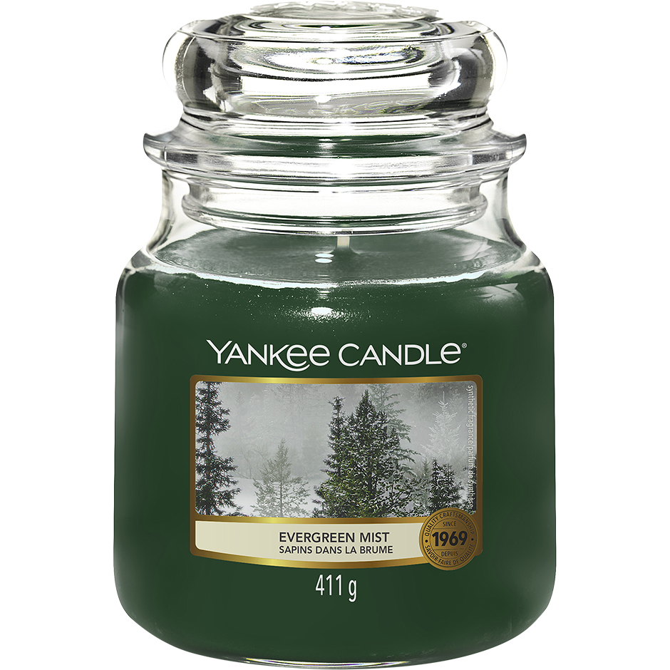 Evergreen Mist