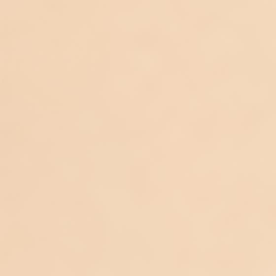 Matte Oil-Control Foundation