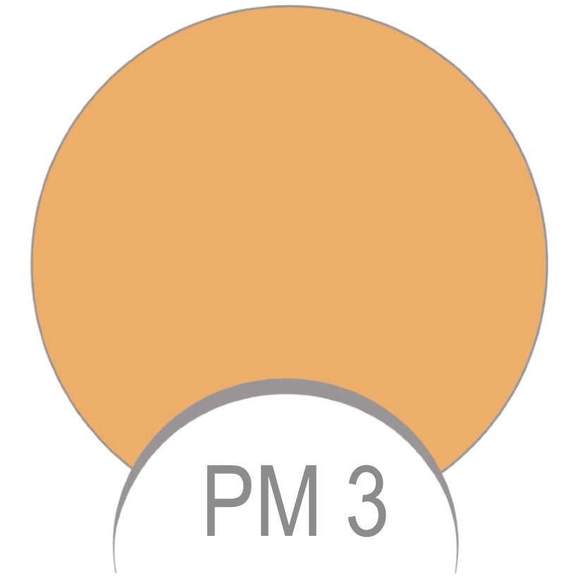 Paris Berlin Litic Mineral Powder - Roc & Roll PM3 Ljus gul-beige - 10 g