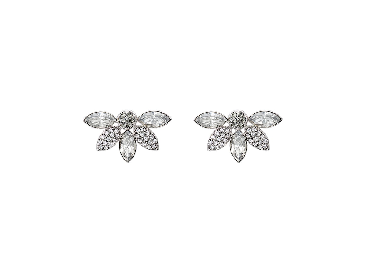 Lucia Ear