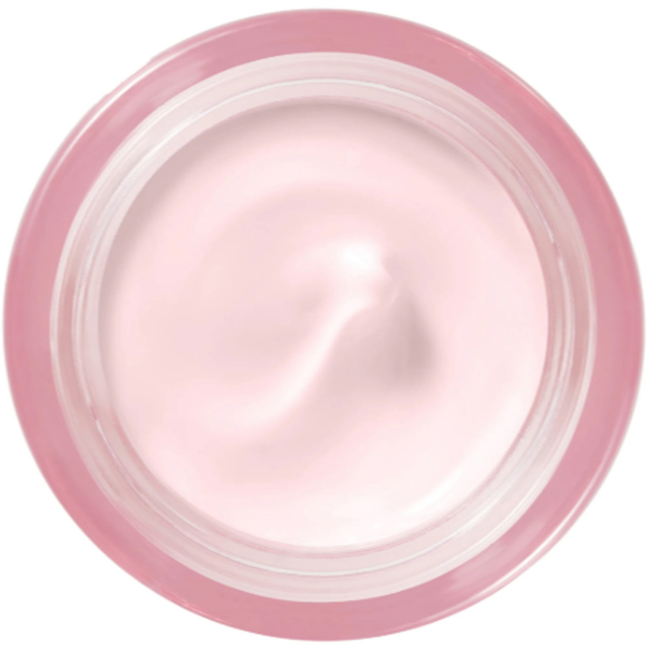 Hydra Zen Day Cream