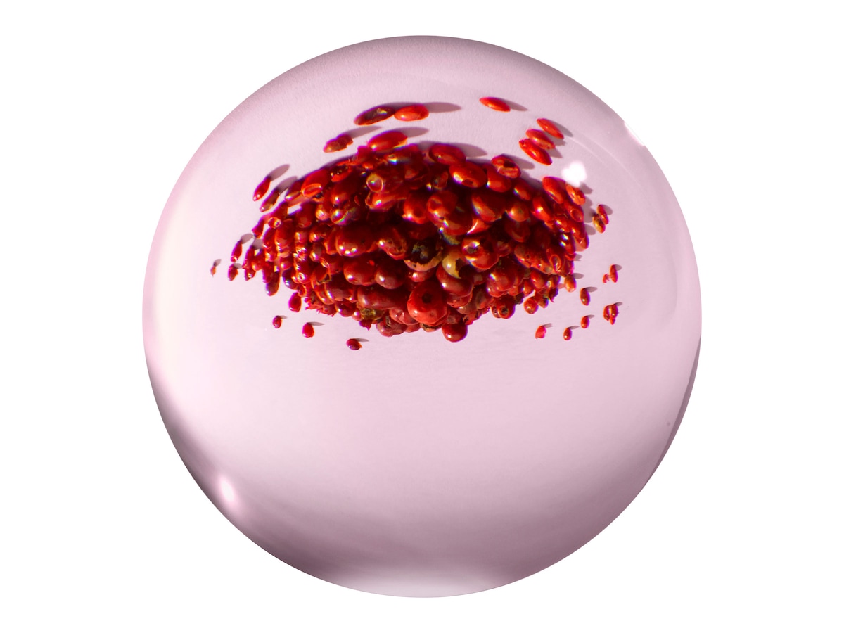 Fiery Pink Pepper